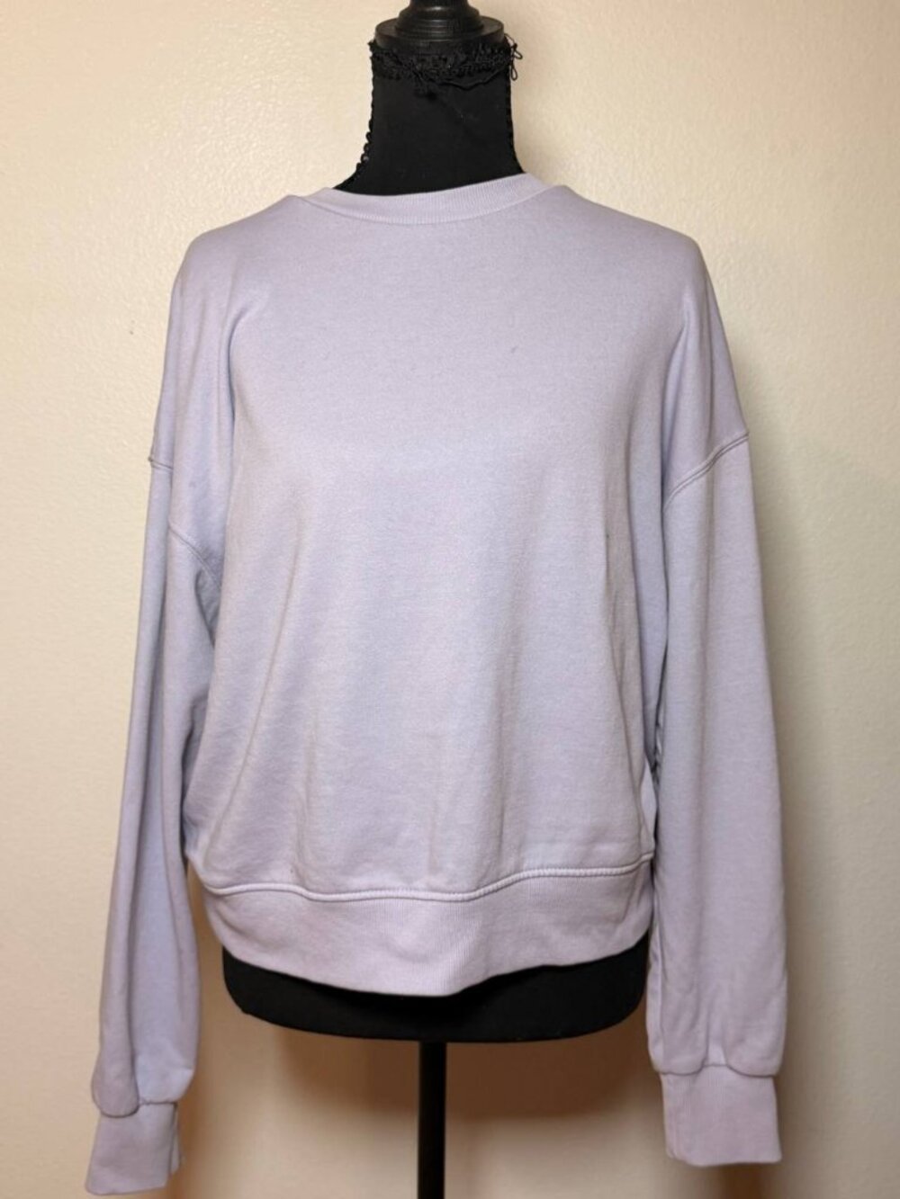 Divided H&M Fall Lavender Cropped Crewneck Sweatshirt Cozy Girl Clean Girl